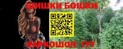 гашик Гай