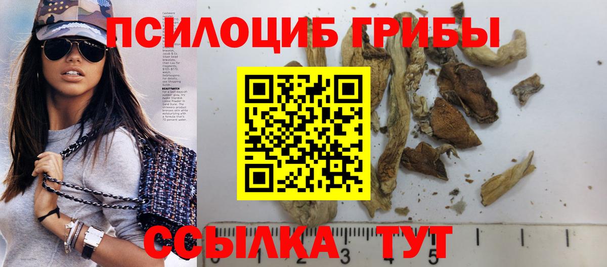 Гусиноозёрск  Псилоцибиновые грибы ЛСД  Галлюциногенные грибы ЛСД  Вход с VPN 